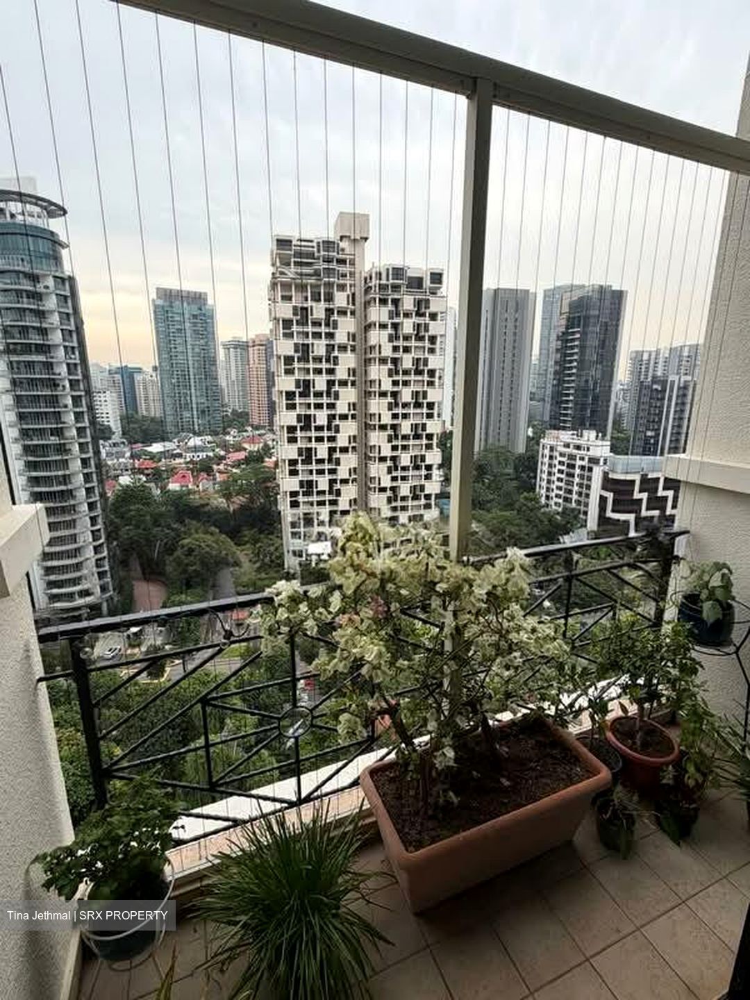 Spring Grove (D10), Condominium #563432561
